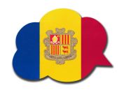 llei llengua 3